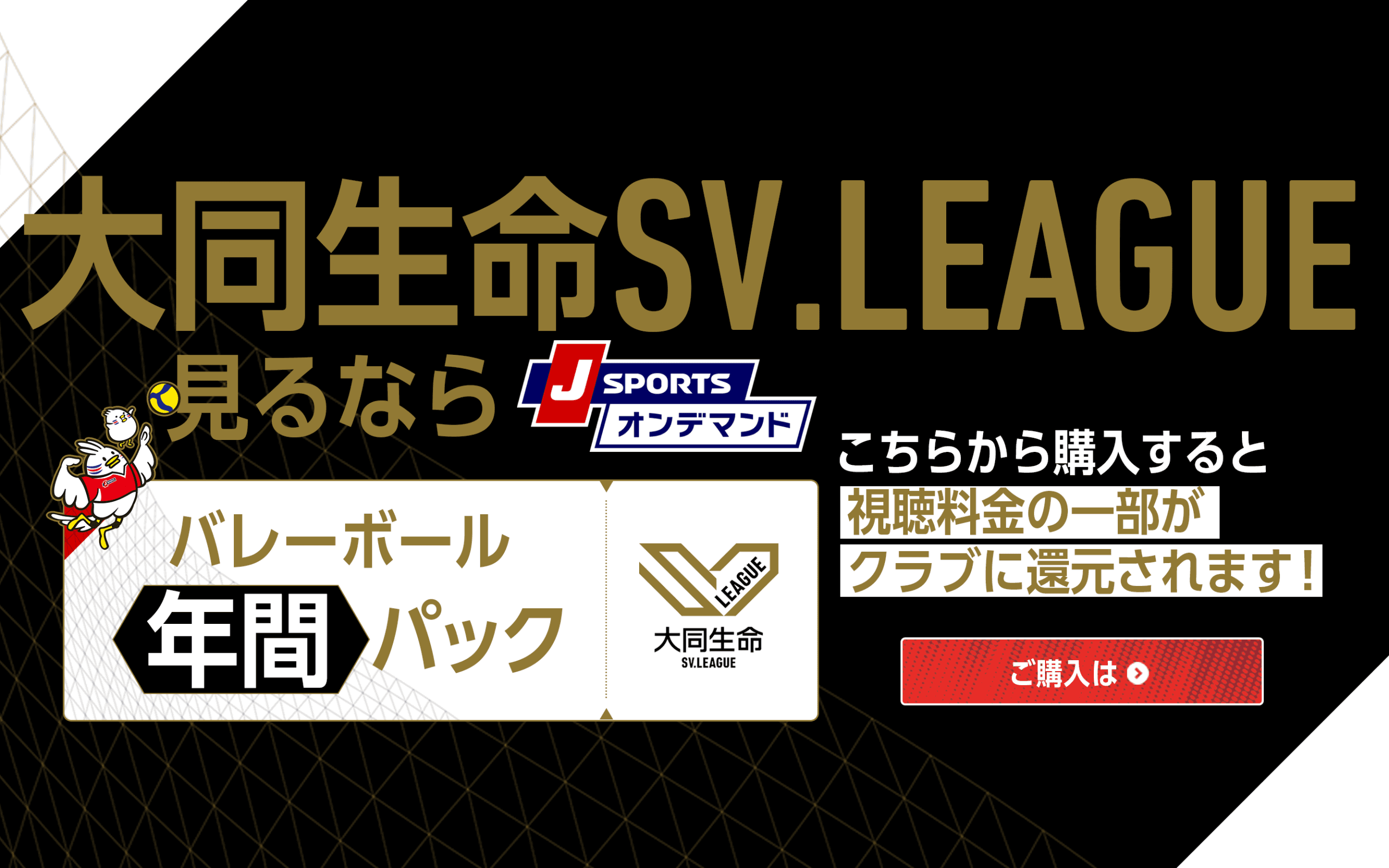 J SPORTSオンデマンド/バレーボール【年間】【月額】パックのご案内
